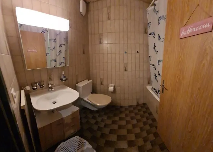 Arca 2 * Лойкербад